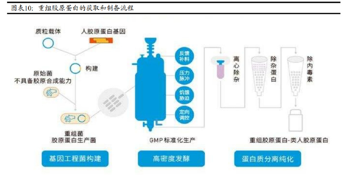 医用生物敷料栓怎么用胶原蛋白行业研究报告:胶原新生,千亿赛道未来可期_新闻资讯_第3张_活检穿刺产品网 医用生物敷料栓怎么用胶原蛋白行业研究报告:胶原新生,千亿赛道未来可期_https://www.jmylbn.com_新闻资讯_第3张