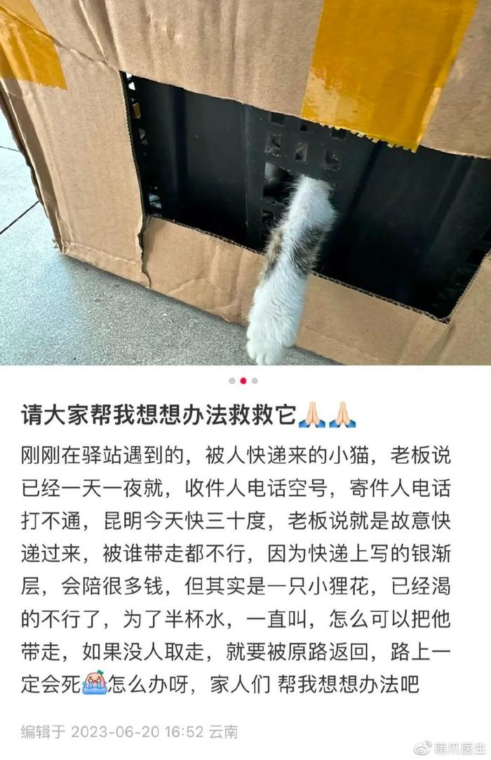 快递寄猫不取件，谁救谁赔钱……针对”