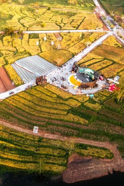 稻作文化公园农文旅产业园了解山兰稻,探寻黎家农耕文化,沉浸自然人文