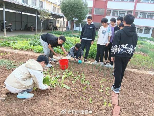 德育教育的重要性_南阳德育活动_少先队新队员入队仪式