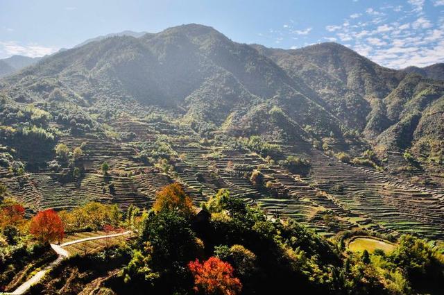 篁岭晒秋的故事｜挂在山崖上的古村，每当日出，便成斑斓的调色板