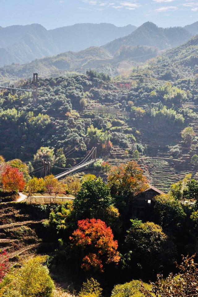 篁岭晒秋的故事｜挂在山崖上的古村，每当日出，便成斑斓的调色板