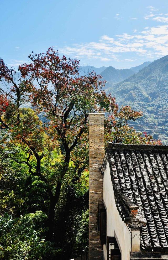 篁岭晒秋的故事｜挂在山崖上的古村，每当日出，便成斑斓的调色板