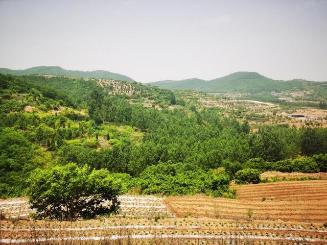 自驾临朐沂山天路，这份路线攻略沿途都是美景