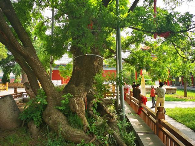 自驾临朐沂山天路，这份路线攻略沿途都是美景