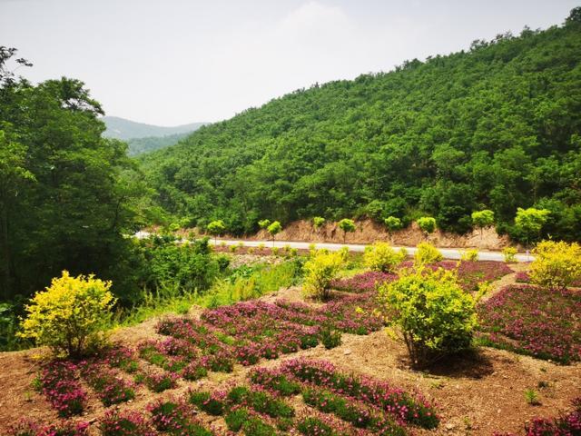 自驾临朐沂山天路，这份路线攻略沿途都是美景