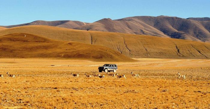 318川藏线房车自驾游攻略：打卡景点、补给营地，通通安排！