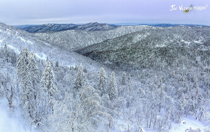 雪乡十里画廊徒步遇险“雪窝子” 但冰雪梦幻景色实在让人痴迷！