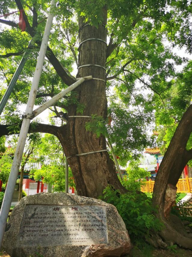 自驾临朐沂山天路，这份路线攻略沿途都是美景