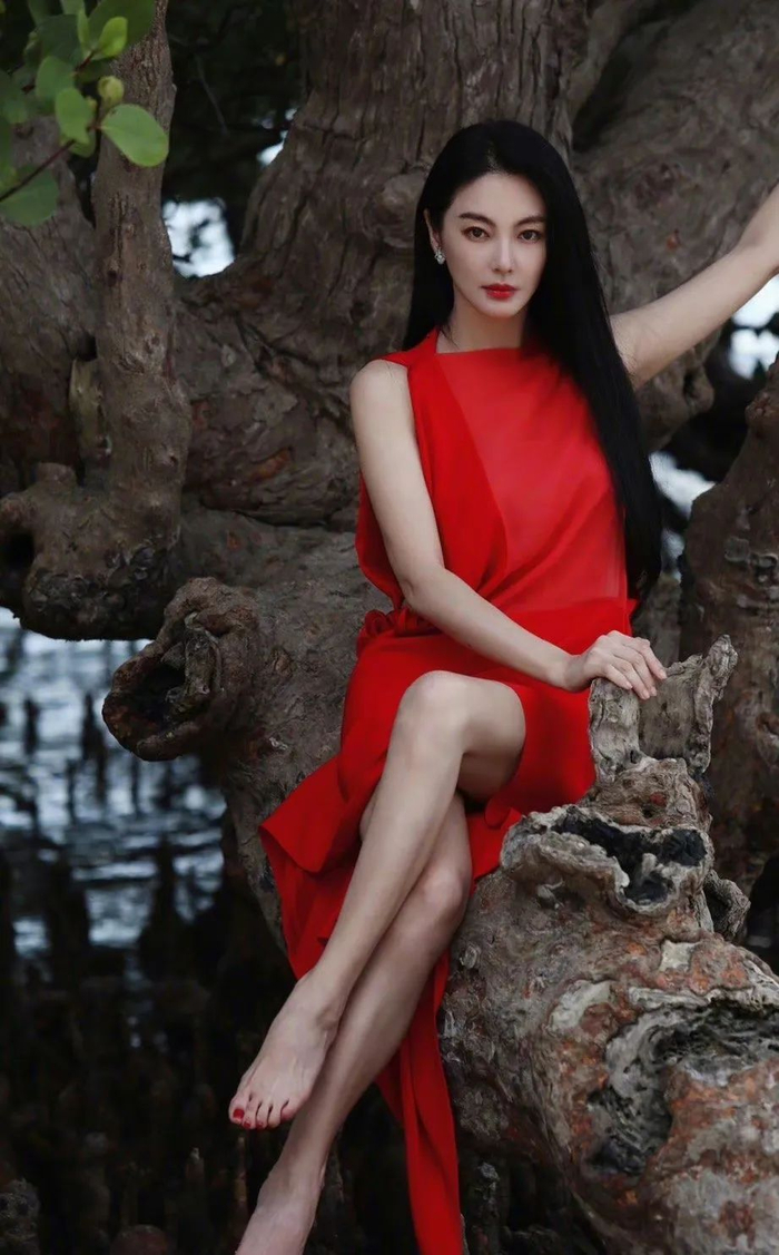 何炅被起诉？傅首尔假离婚？张子枫被捧杀？张凌赫碰瓷？