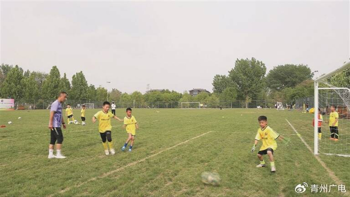 潍坊青州：云驼足球场焕新升级 打造城市运动新名片