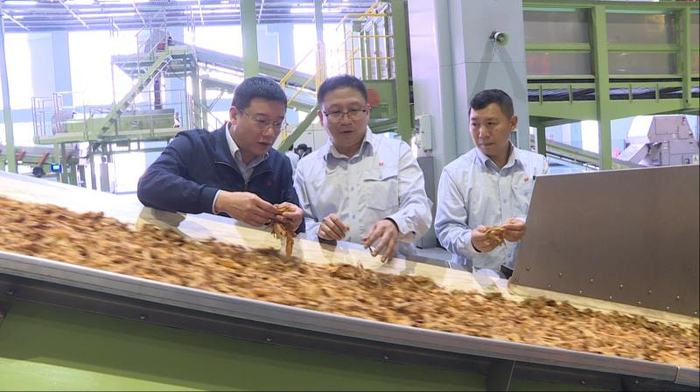 南京卷烟厂工资待遇 一线操作工真实收入揭秘