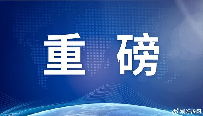重磅消息：沈阳公寓里的妹子怎么联系？专业方法与实用指南