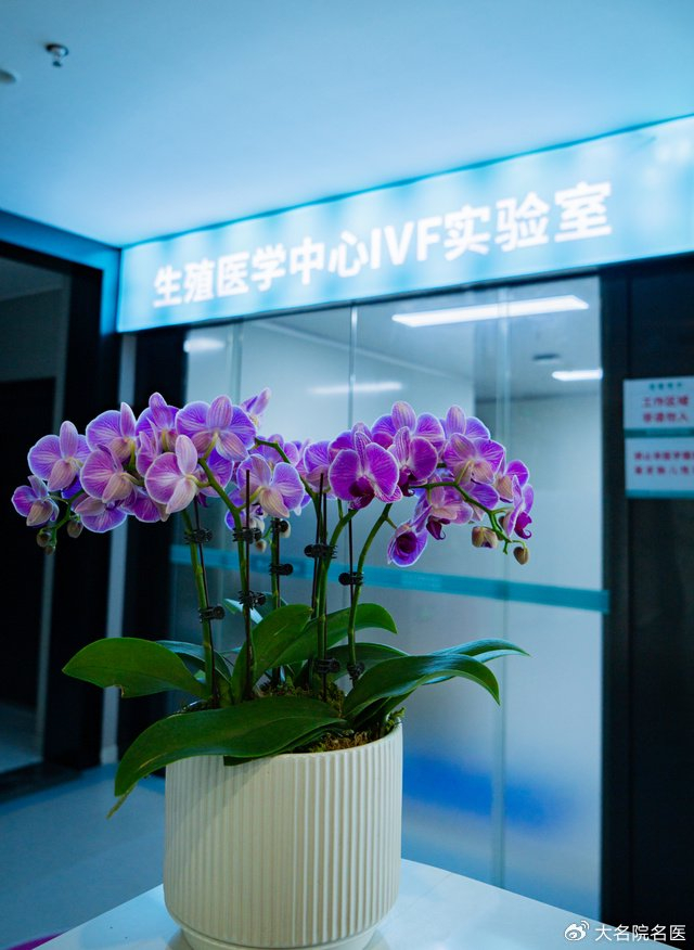 子宫支架怎么取快来围观!五块生命拼图见证长沙江湾妇产医院“好孕”重建术_新闻资讯_第4张_活检穿刺产品网 子宫支架怎么取快来围观!五块生命拼图见证长沙江湾妇产医院“好孕”重建术_https://www.jmylbn.com_新闻资讯_第4张