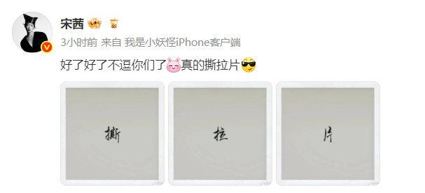 宋茜假撕拉片钓官博，真图上线秒哄：藏好别外传！