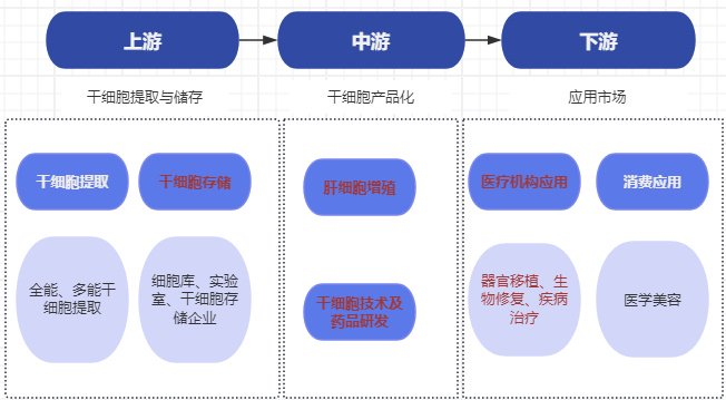 什么是基因编辑疗法 w700d1q75cms.jpg