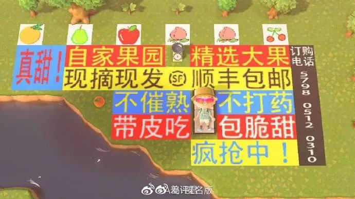 价格三天涨50%，在微博和朋友圈刷屏的动物森友会为什么这么好玩？