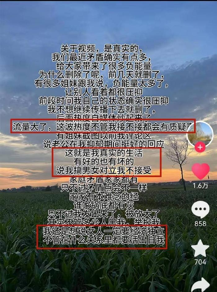 瑞士卷事件大反转，女博主承认利用老公情绪失控，偷偷拍摄的视频-第5张图片-黑龙江新闻八