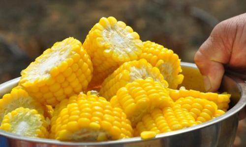 水果玉米、紫薯是转基因食品吗？会不会产生隐患？注意查看标识