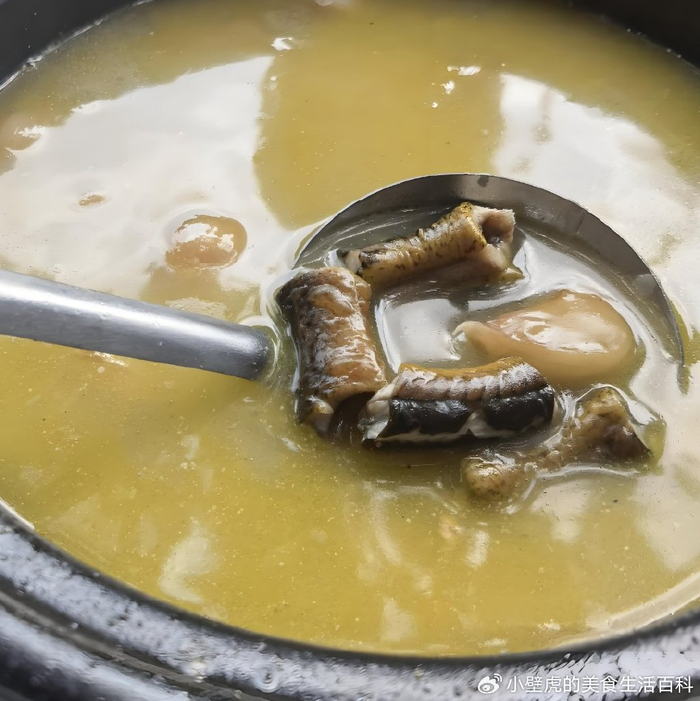 秘制黄鳝炖汤丨家常版美味，温暖每一口