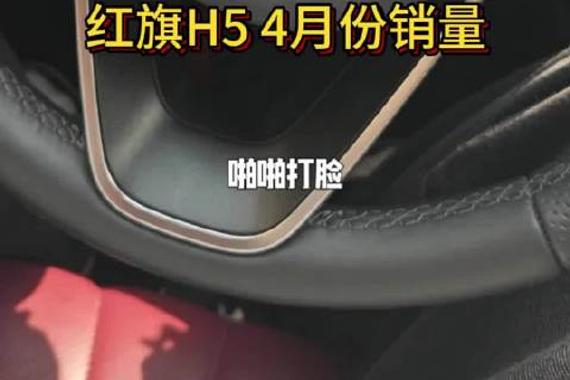 啪啪打脸啊 4月份销量出来了
