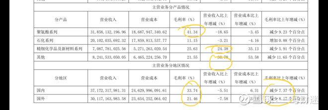 万华化学2019年年报阅读笔记