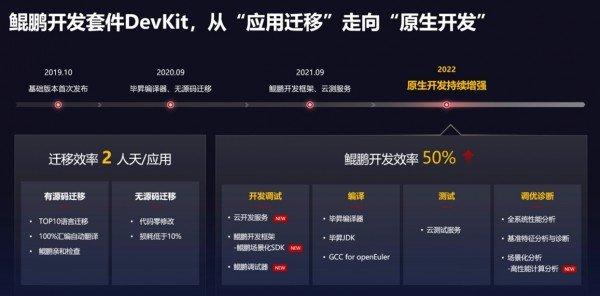 鲲鹏开发环境，探索其功能与应用前景如何？  第1张