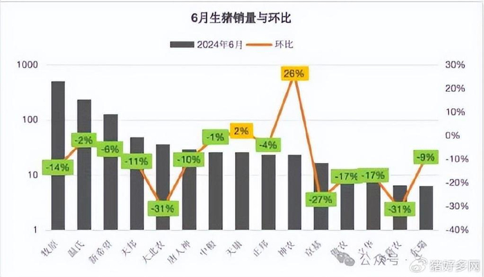 6月生猪出栏量大幅降低10%,猪价上涨22%!下半年猪价如何演变?-六月份猪价怎么样