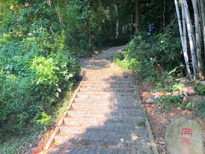 怎么联系当地鸡惠州博罗避世田园亲子民宿,带娃做陶艺、品农家美味丨南方民宿_新闻资讯_第74张_活检穿刺产品网 怎么联系当地鸡惠州博罗避世田园亲子民宿,带娃做陶艺、品农家美味丨南方民宿_https://www.jmylbn.com_新闻资讯_第74张