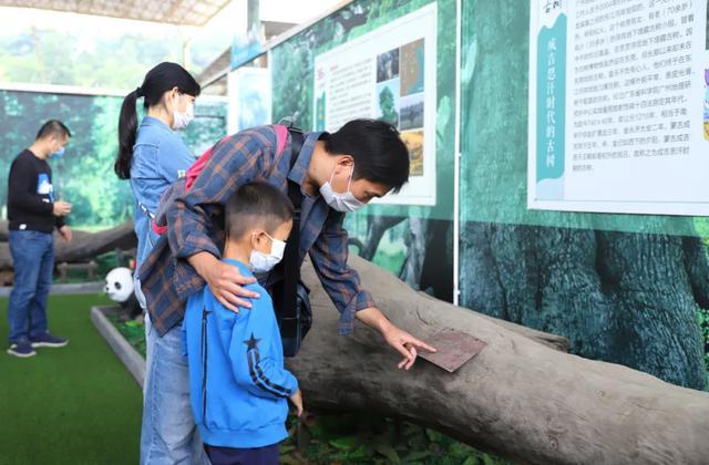 观音山暑期爸爸总动员，放下工作陪孩子来一场说走就走旅行吧