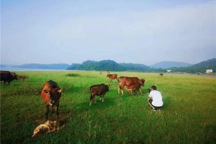 怎么联系当地鸡惠州博罗避世田园亲子民宿,带娃做陶艺、品农家美味丨南方民宿_新闻资讯_第24张_活检穿刺产品网 怎么联系当地鸡惠州博罗避世田园亲子民宿,带娃做陶艺、品农家美味丨南方民宿_https://www.jmylbn.com_新闻资讯_第24张
