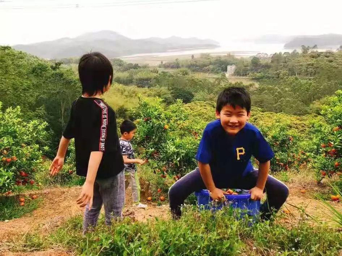 怎么联系当地鸡惠州博罗避世田园亲子民宿,带娃做陶艺、品农家美味丨南方民宿_新闻资讯_第88张_活检穿刺产品网 怎么联系当地鸡惠州博罗避世田园亲子民宿,带娃做陶艺、品农家美味丨南方民宿_https://www.jmylbn.com_新闻资讯_第88张