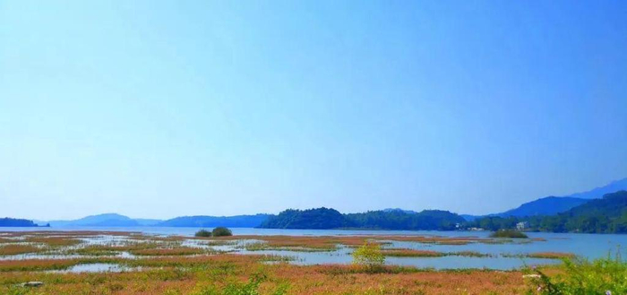 怎么联系当地鸡惠州博罗避世田园亲子民宿,带娃做陶艺、品农家美味丨南方民宿_新闻资讯_第5张_活检穿刺产品网 怎么联系当地鸡惠州博罗避世田园亲子民宿,带娃做陶艺、品农家美味丨南方民宿_https://www.jmylbn.com_新闻资讯_第5张