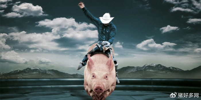 6月生猪出栏量大幅降低10%,猪价上涨22%!下半年猪价如何演变?-六月份猪价怎么样