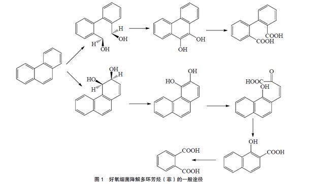 太空是什么味道？国外公司推出太空味香水，网友：皇帝的新装？