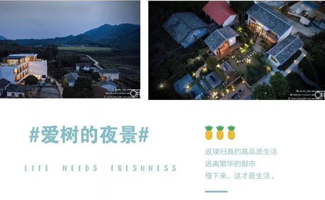 惠州龙门深山里的网红民宿，​每一个角度都是网红摆拍背景丨爱树