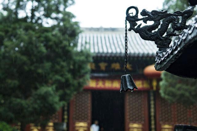 人间戏场法源寺：一座与死亡相关的千年寺庙，如今丁香花开动京城