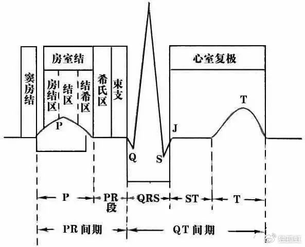 心电图纸有什么规格【干货收藏】教你心电图，没有理由看不懂 ！_https://www.jmylbn.com_新闻资讯_第1张