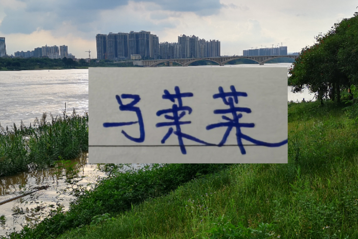 去年是申花马莱莱 今年有可能是意甲的中场 大连英博专找冠军核心