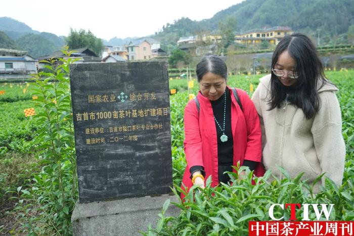 湖南省茶叶研究所联合中国茶研所举办绿色防控助力生态茶园建设现场会-第7张图片-福建名茶