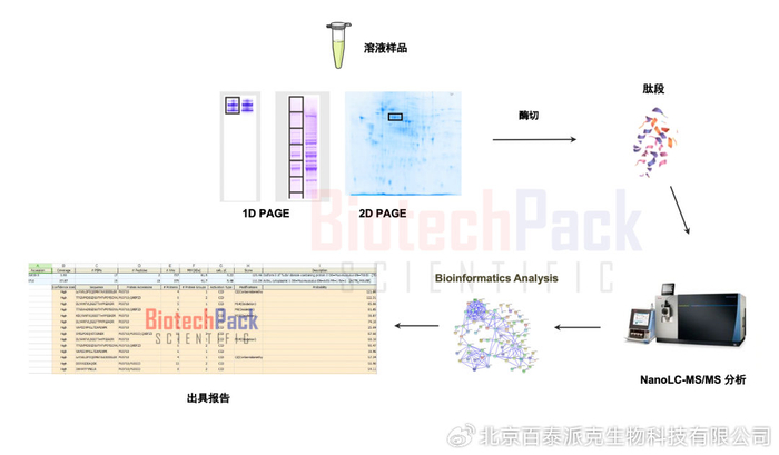 官方发布！附近当小姐的在哪里能找到正规工作介绍