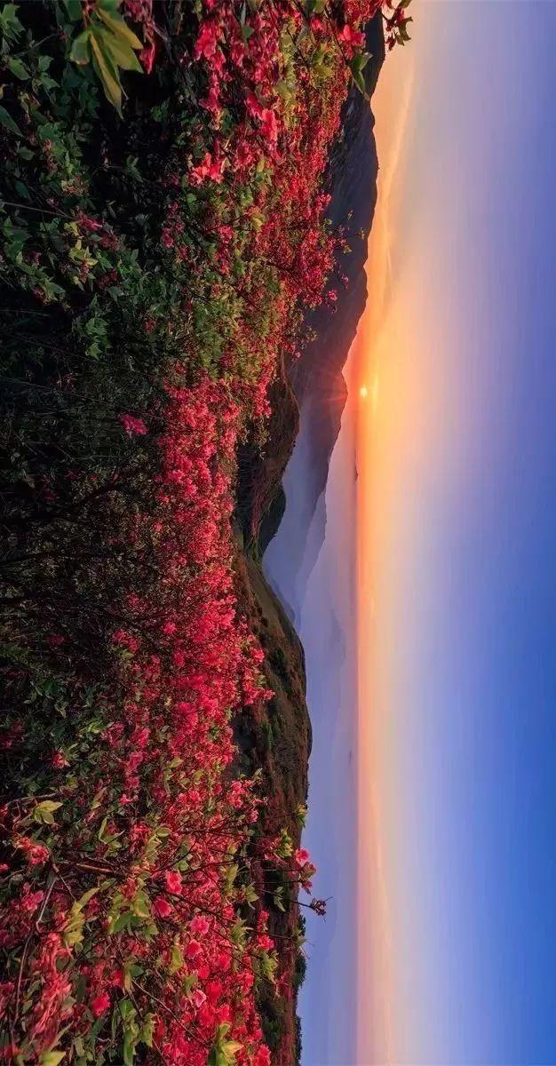 麻辣小龙虾有望了！忍住了出门，却忍不住想念你