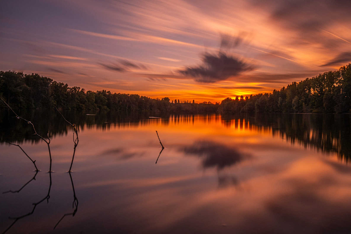 2023年阳历10月生肖属猪的运势