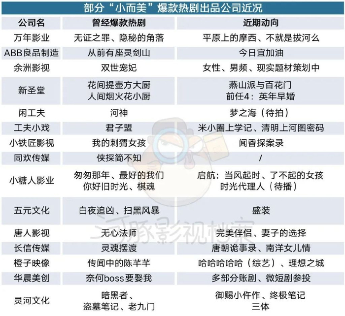 小而美网剧,十年浮沉录