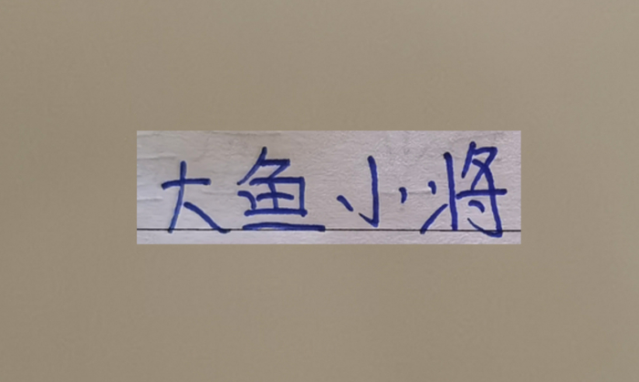 超级杯海港新大鱼 带球和突破不亚于巴尔加斯！