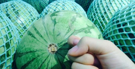 怎么让声音变清脆干净 w700d1q75cms.jpg