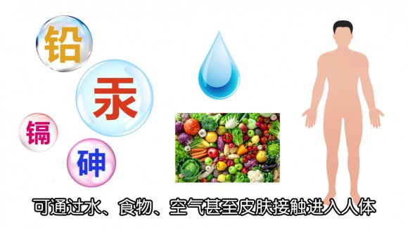 壳聚糖治什么病膳尊宝·壳寡糖科普:现代“文明病”与壳寡糖缺乏_新闻资讯_第2张_活检穿刺产品网 壳聚糖治什么病膳尊宝·壳寡糖科普:现代“文明病”与壳寡糖缺乏_https://www.jmylbn.com_新闻资讯_第2张