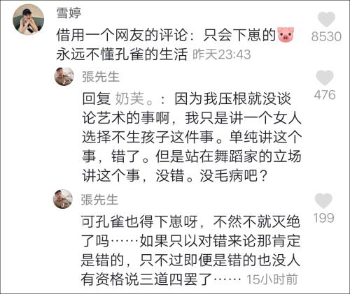 杨丽萍回应“一个女人最大的失败是没一个儿女”，网友们吵得更凶了…