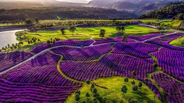 最美腾冲四月天，踏青景色尽芳菲