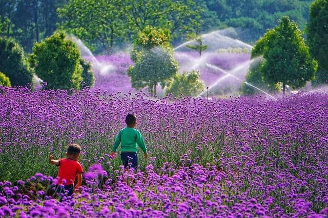 最美腾冲四月天，踏青景色尽芳菲